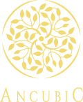 Ancubic Capital Sdn Bhd.